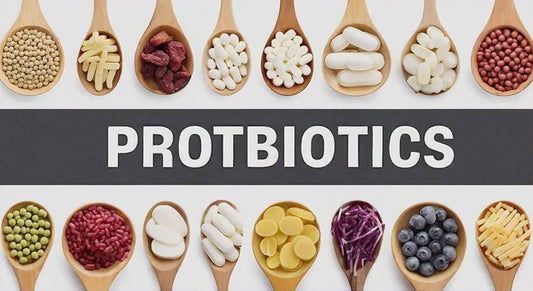 Probiotika für eine gesunde Darmflora und Stärkung des Immunsystems