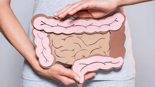 Die Bedeutung gesunder Darmbakterien für unser Immunsystem
